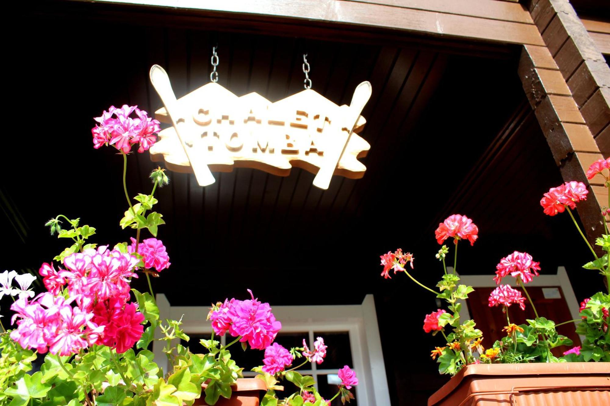 Alpine Ski Chalet Borovets With Sauna Ngoại thất bức ảnh