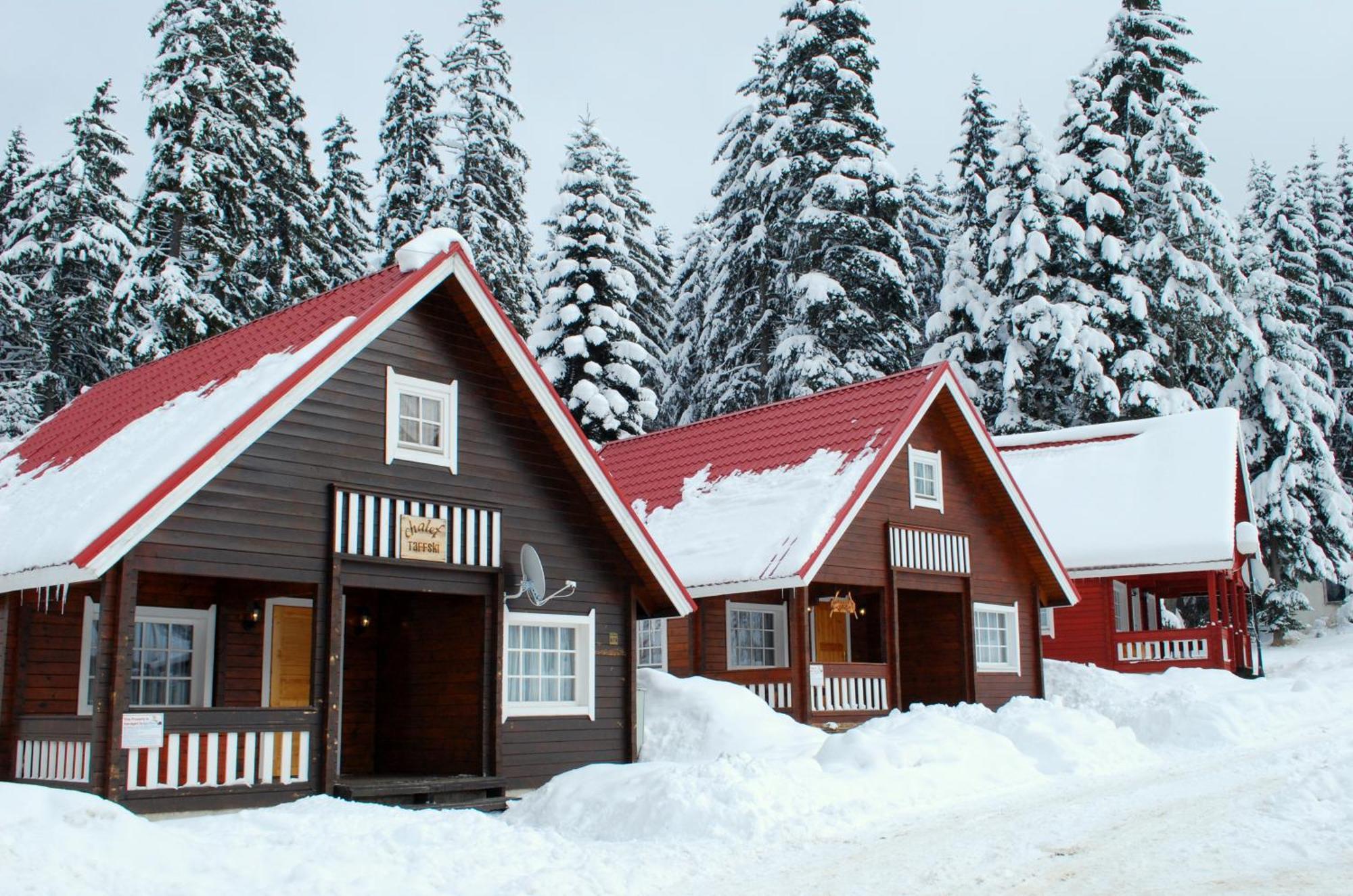 Alpine Ski Chalet Borovets With Sauna Ngoại thất bức ảnh
