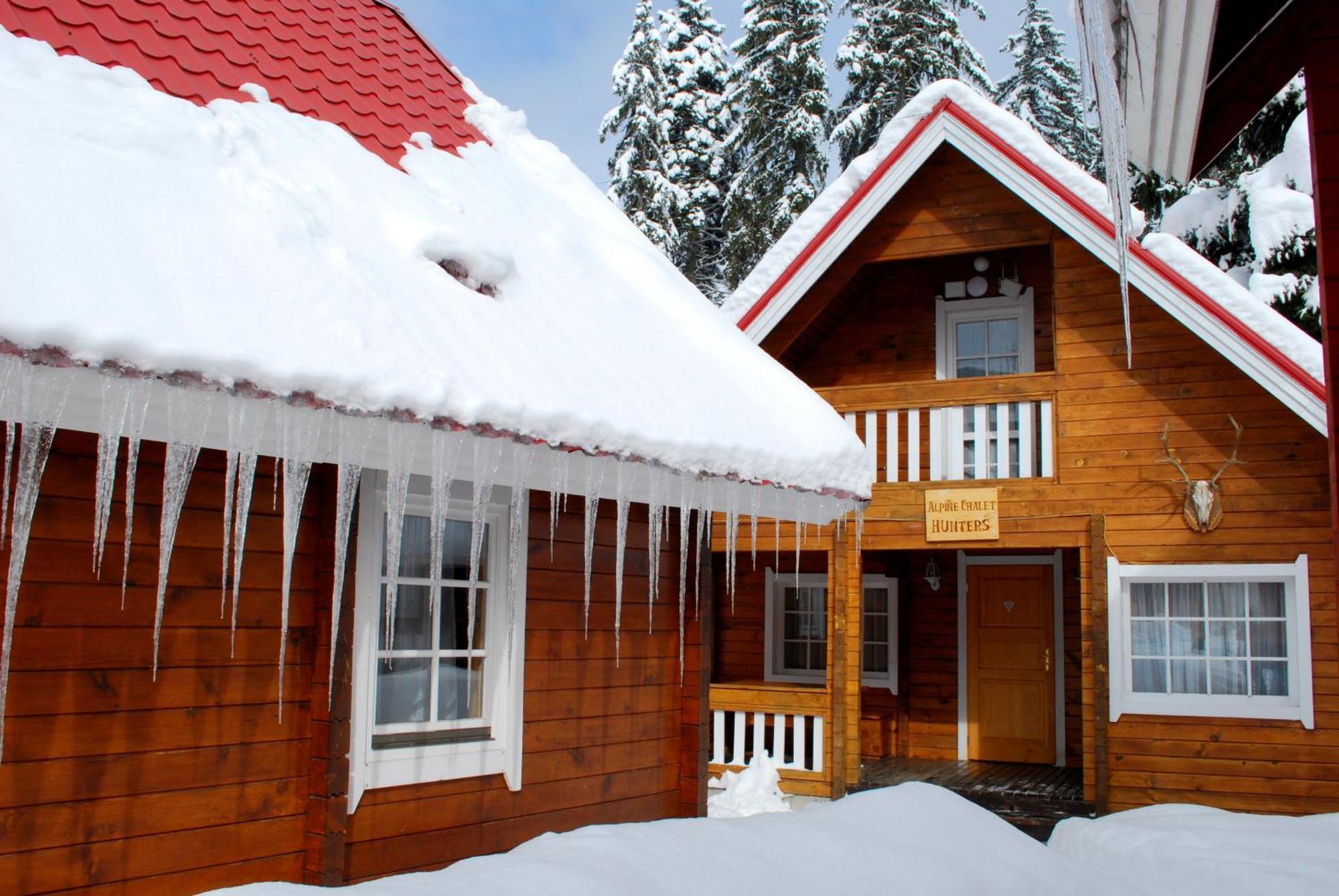 Alpine Ski Chalet Borovets With Sauna Phòng bức ảnh